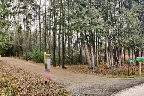 9045 Sideroad 17 Side Road, ON N0B 1Z0
