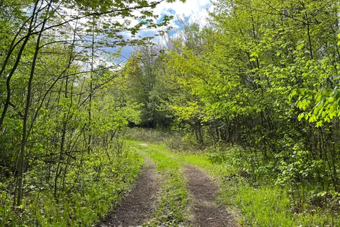 Lot 4 Sandy Shores Trail, ON K0J 1B0