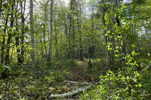 Lot 4 Sandy Shores Trail, ON K0J 1B0