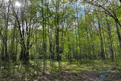 Lot 7 Casson Trail, ON K0J 1B0