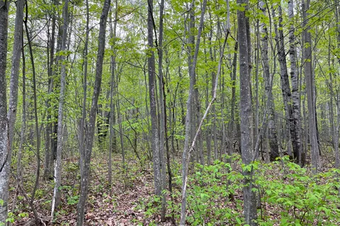 Lot 9 Casson Trail, ON K0J 1B0