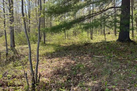 Lot 15 Sandy Shores Trail, ON K0J 1B0