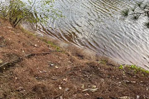 Lot 30 Sandy Shores Trail, ON K0J 1B0