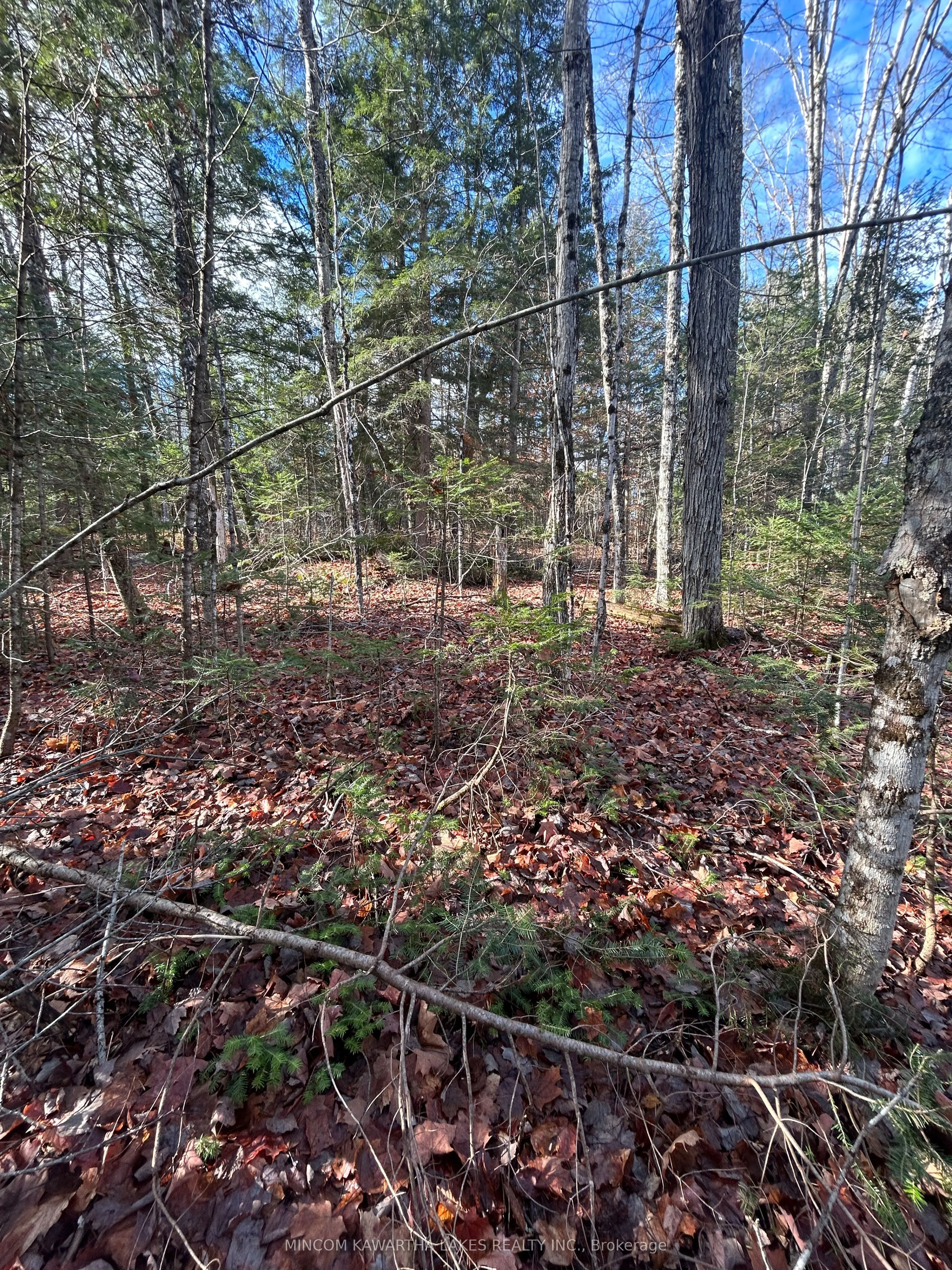 00 Mill Lake Road, ON K0L 1A0