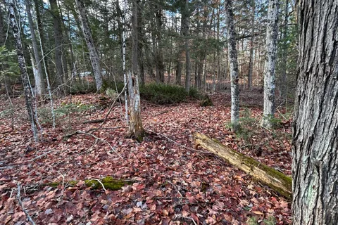 00 Mill Lake Road, ON K0L 1A0