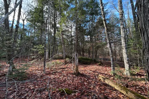 0 Mill Lake Road, ON K0L 1A0