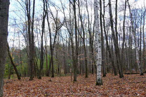 8 Rice Lane, ON P1H 1V4