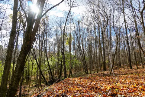 8 Rice Lane, ON P1H 1V4