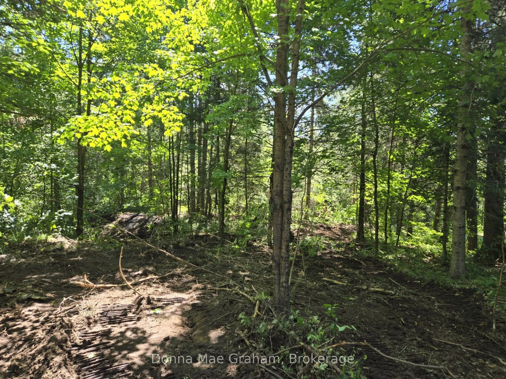 0 Hwy 503 Highway, ON K0M 1R0