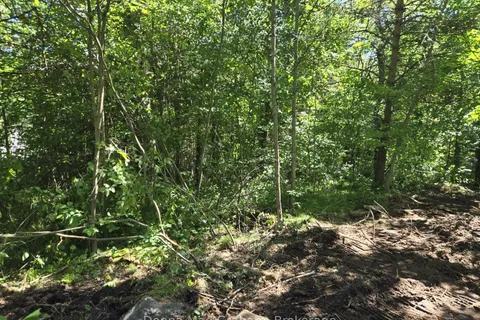 0 Hwy 503 Highway, ON K0M 1R0