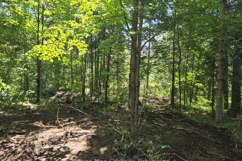 0 Hwy 503 Highway, ON K0M 1R0