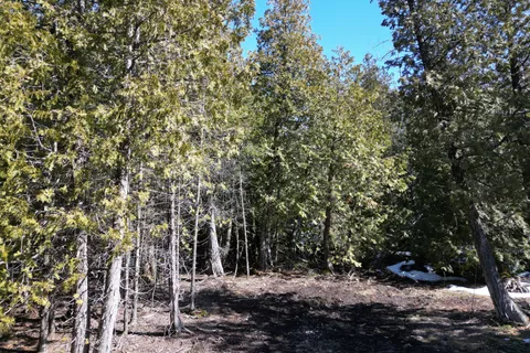 31 Baise Avenue, ON N0H 2R0