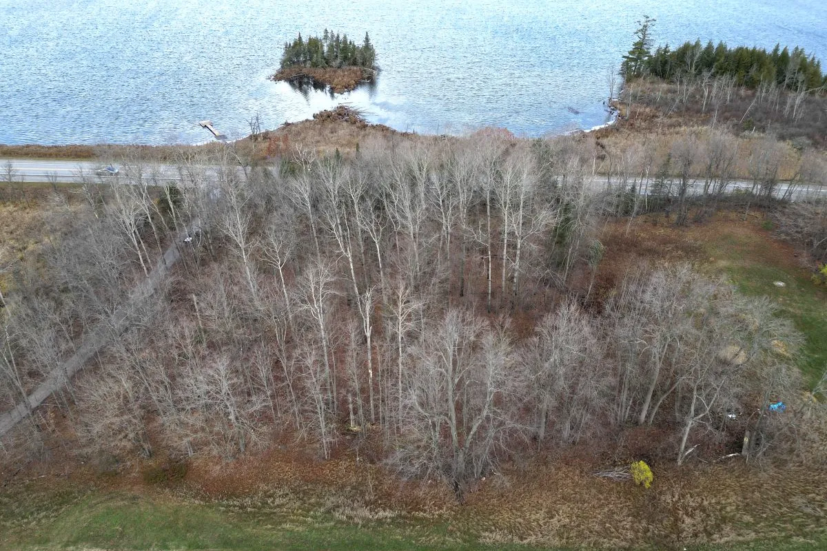 0 Hwy 7 N/A, ON K0H 2P0