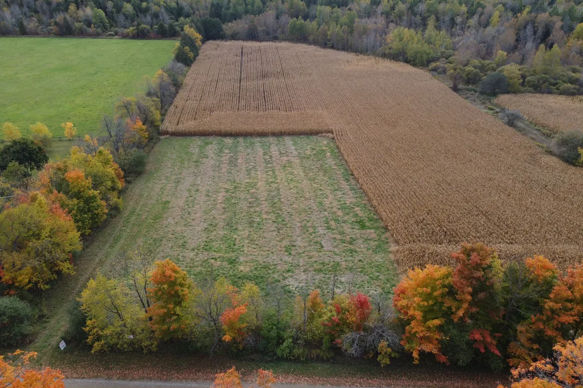 5258 Third Line, ON L7J 2L8