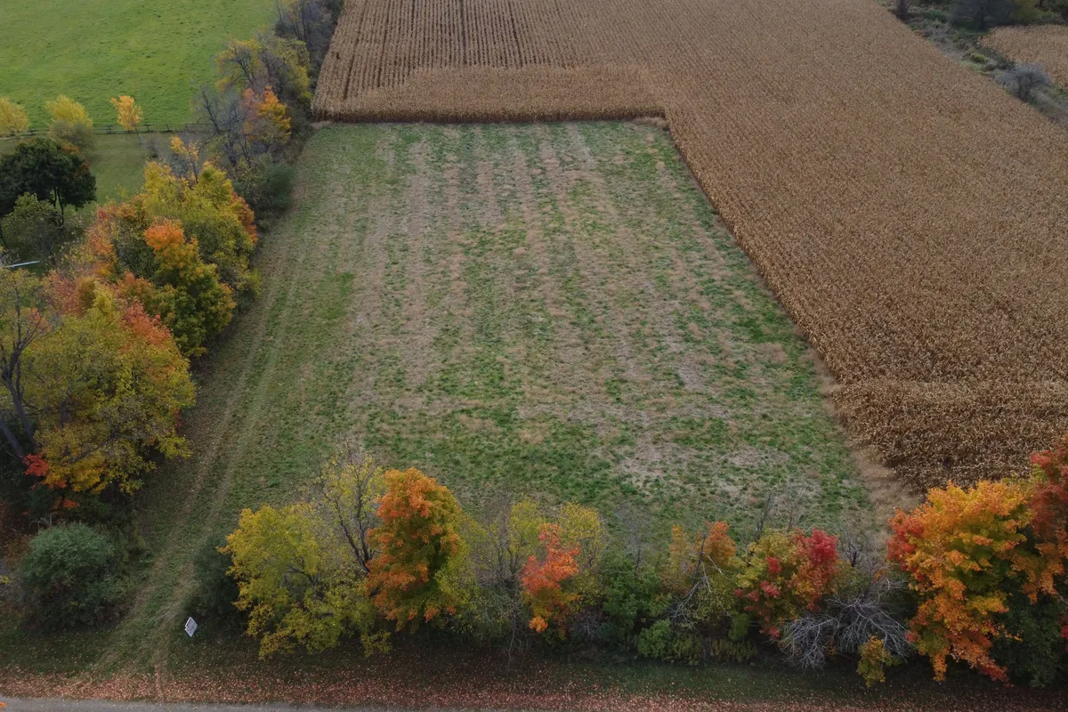 5258 Third Line, ON L7J 2L8