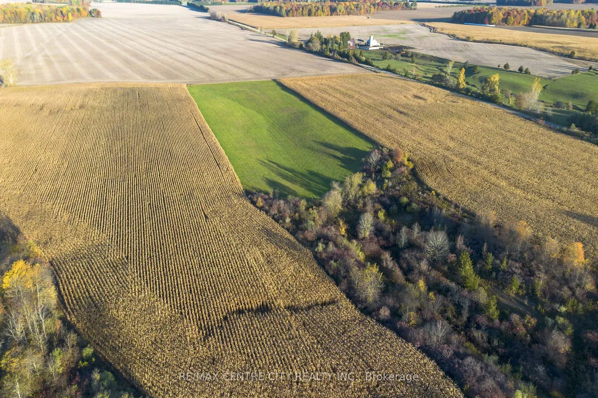 15859 Talbot Trail, ON N0L 1X0