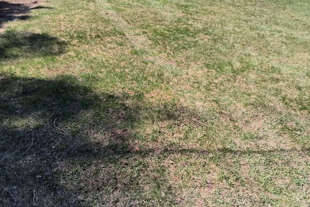 8 Fulsom Crescent, ON L3V 0H5