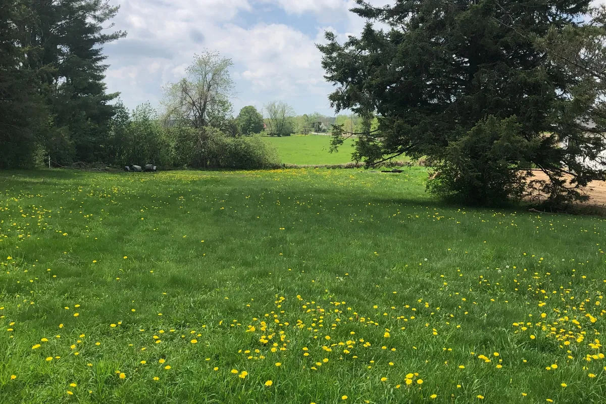 8 Fulsom Crescent, ON L3V 0H5