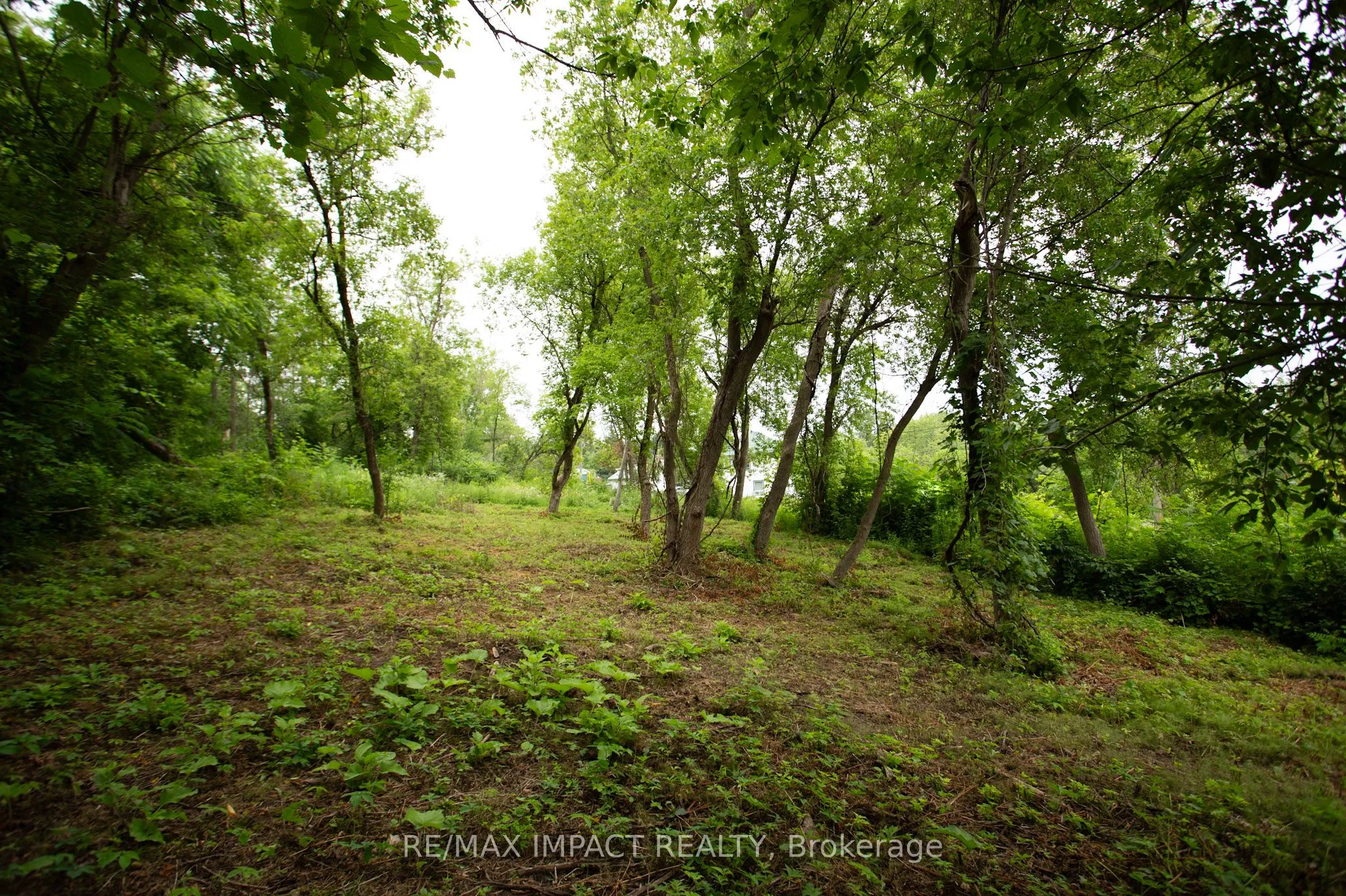 16216 Hwy 2, PT 3 & PT 4 N/A, ON K0K 1H0