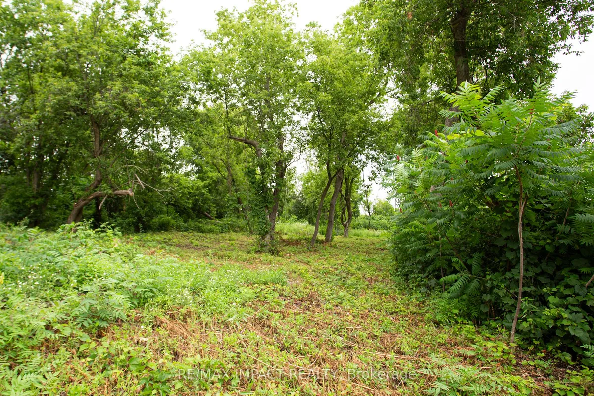 16216 Hwy 2, PT 3 & PT 4 N/A, ON K0K 1H0