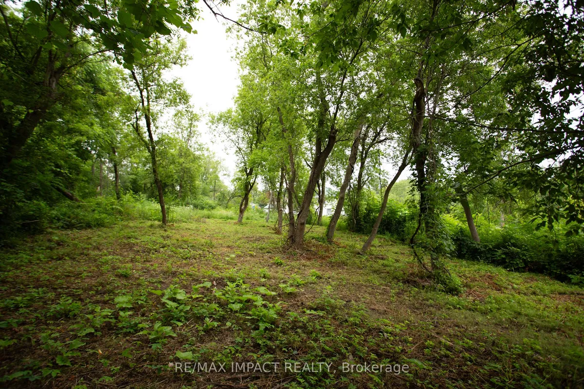 16216 Hwy 2, PT 3 & PT 4 N/A, ON K0K 1H0