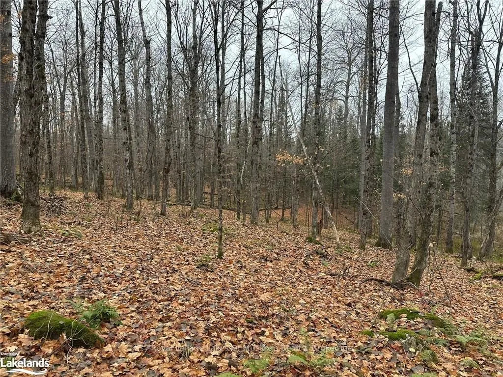 LOT 1 HILL AND GULLY Road, ON P0A 1C0