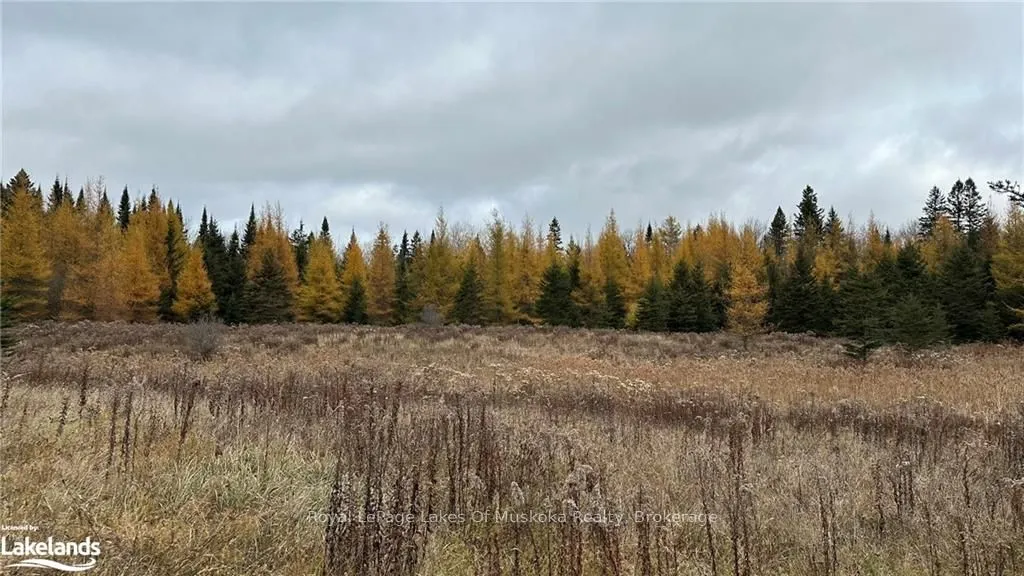 LOT 3 HILL AND GULLY Road, ON P0A 1C0