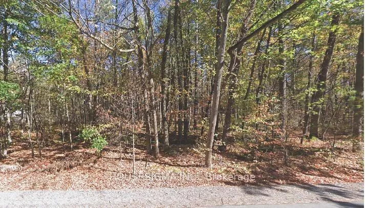 Pt Lt 8 Marble Point Road, ON K0K 2M0