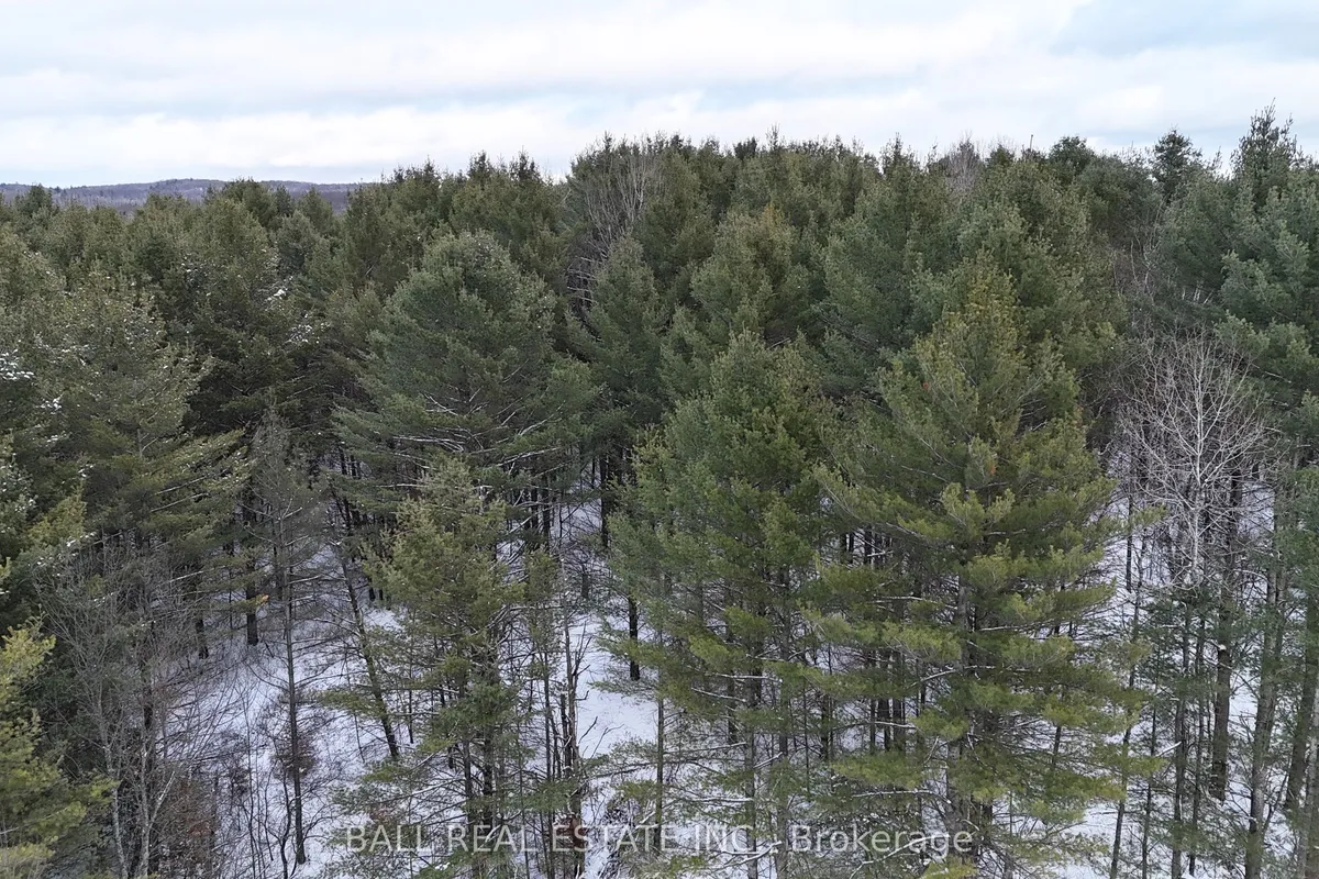 0 Highway 62 N/A, ON K0L 1C0