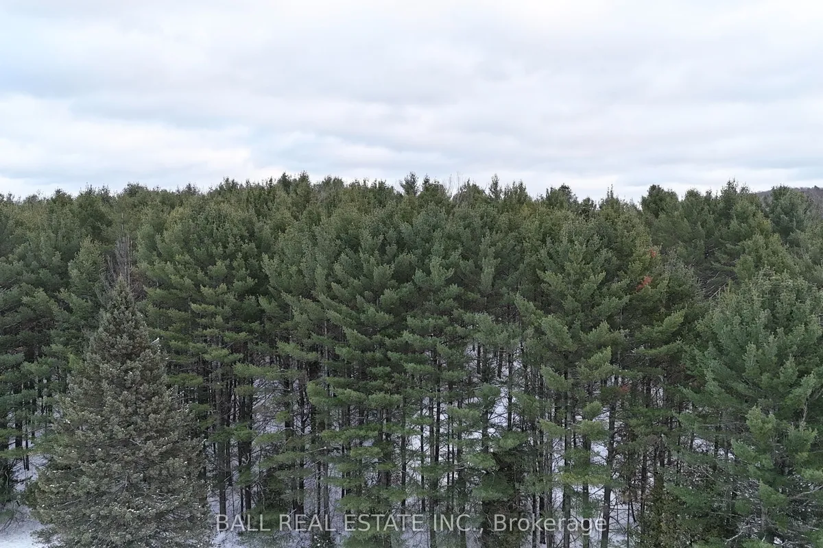 0 Highway 62 N/A, ON K0L 1C0