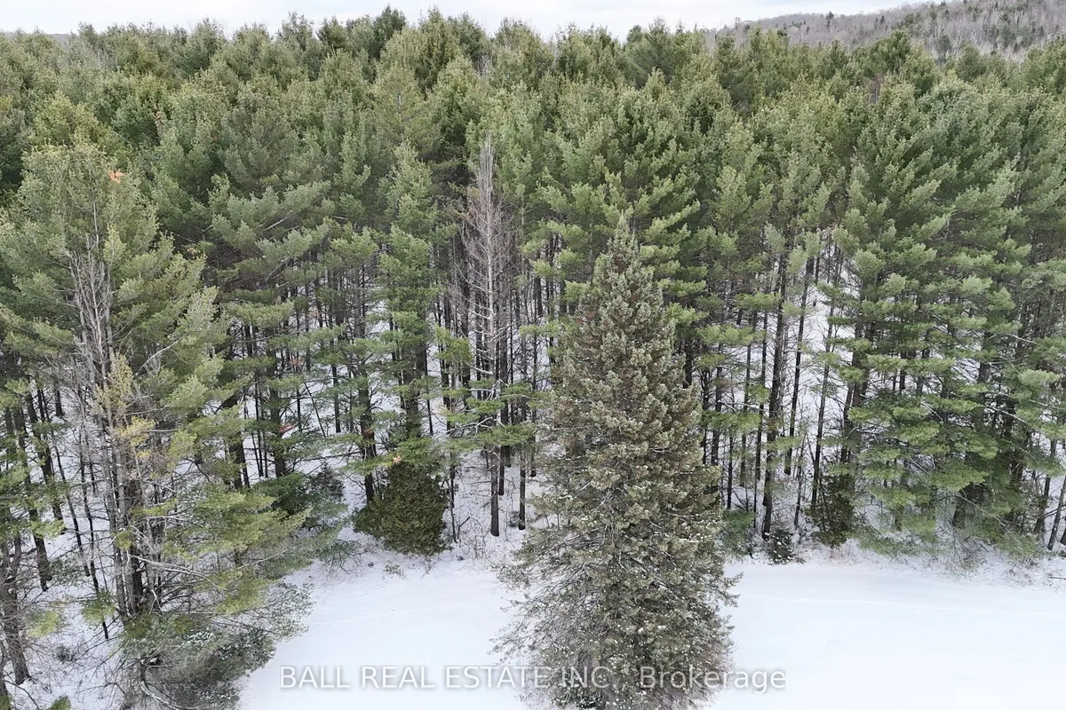 0 Highway 62 N/A, ON K0L 1C0