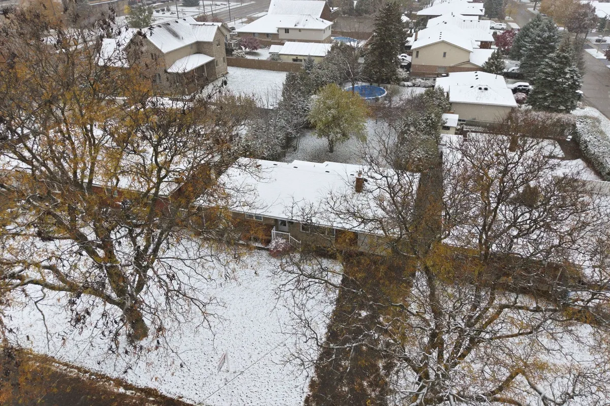 9 Waddington Street, ON N3R 2R2