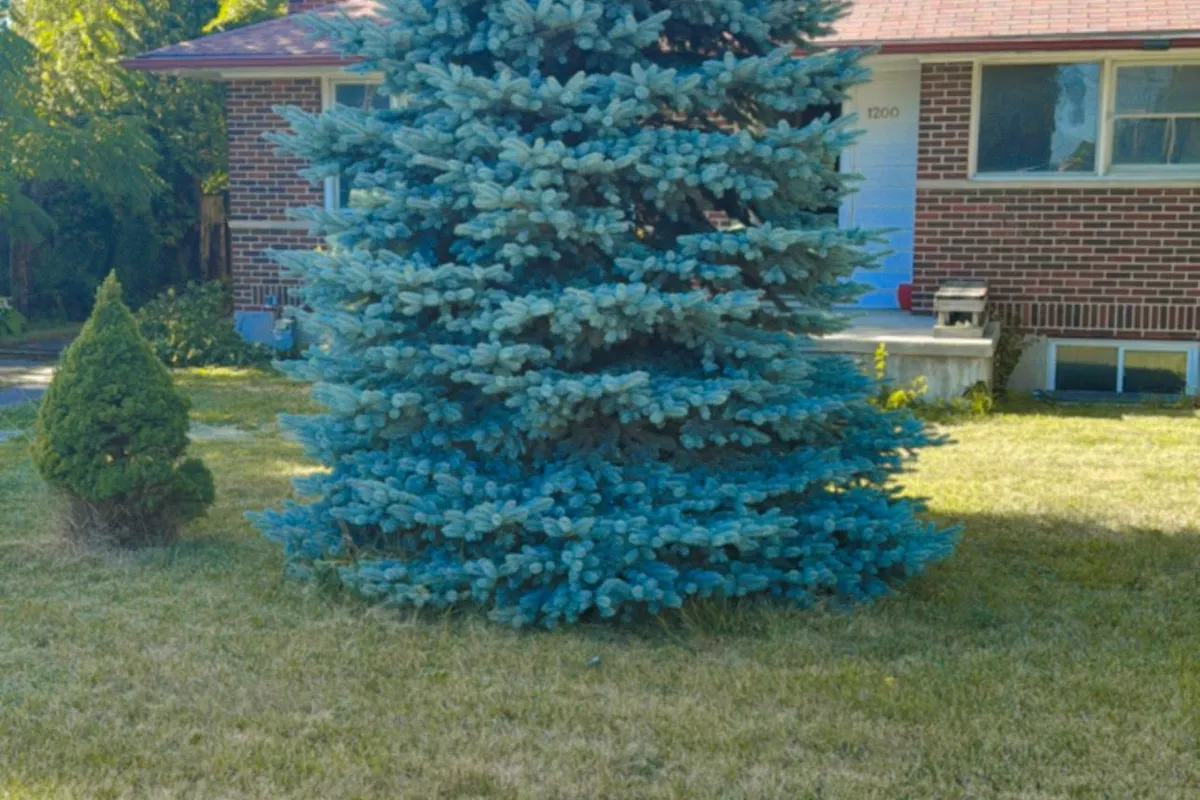 1200 Huron Street, ON N5Y 4K9