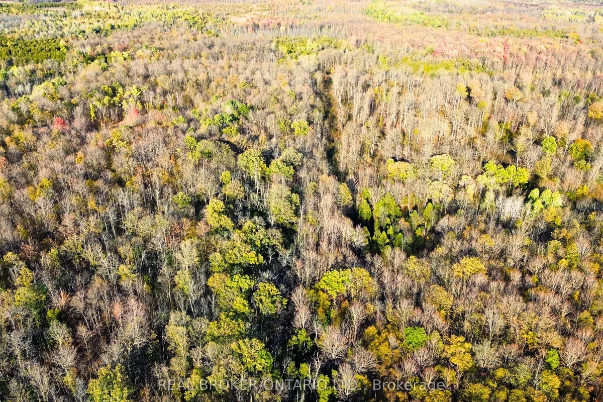 Lot 7 County 7 Road, ON K0E 1H0