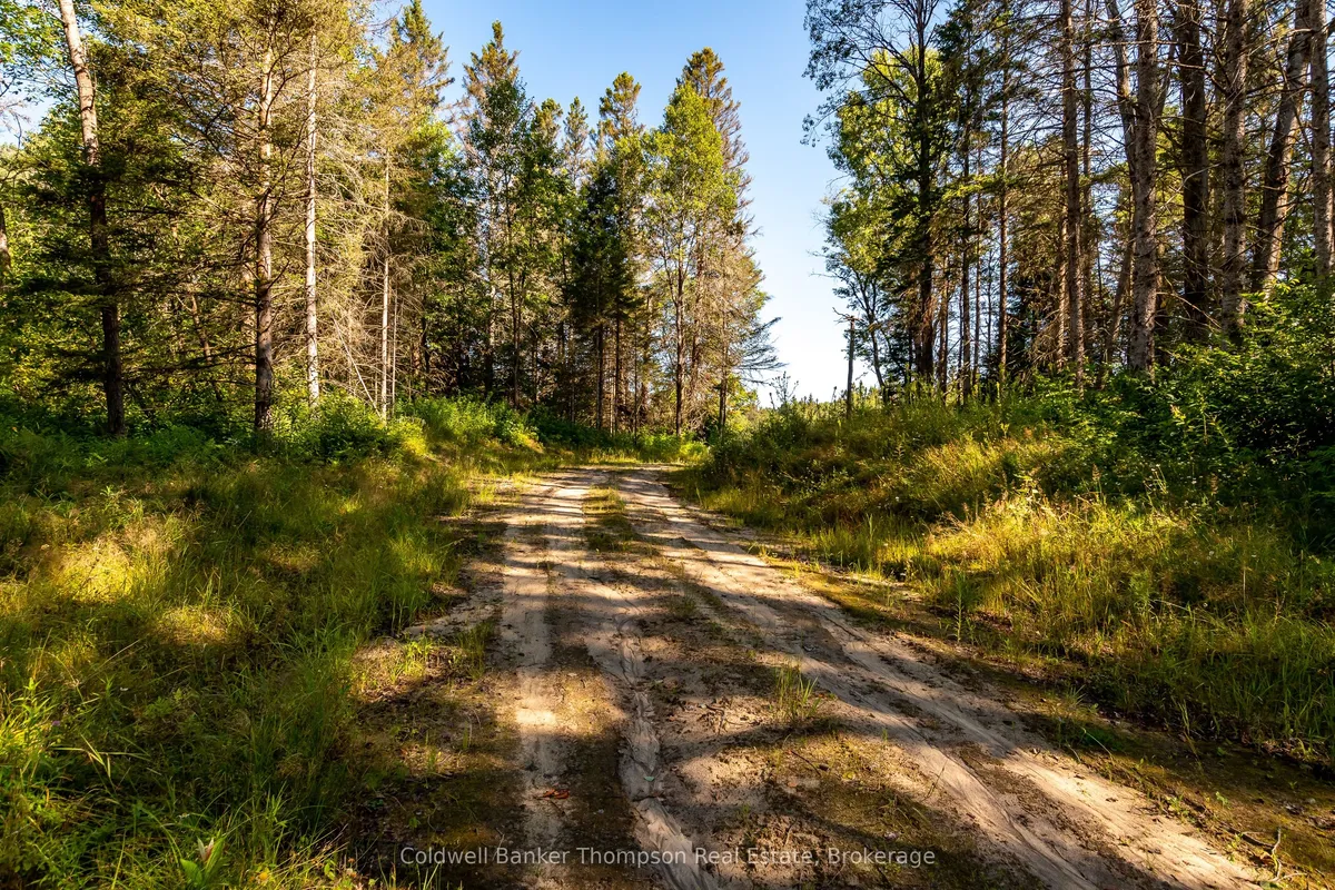 254 Pickerel Lake Road, ON P0A 1C0