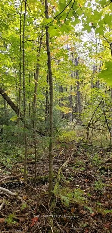 3339 Highway 534 N/A, ON P0H 1W0