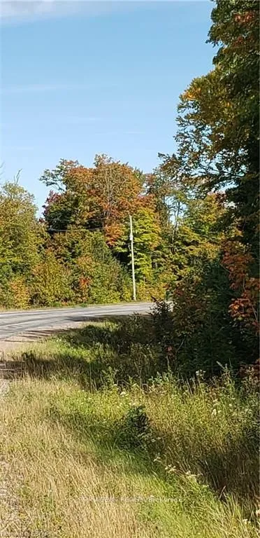 3339 Highway 534 N/A, ON P0H 1W0