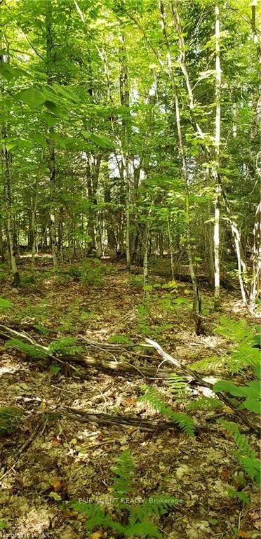 3339 Highway 534 N/A, ON P0H 1W0