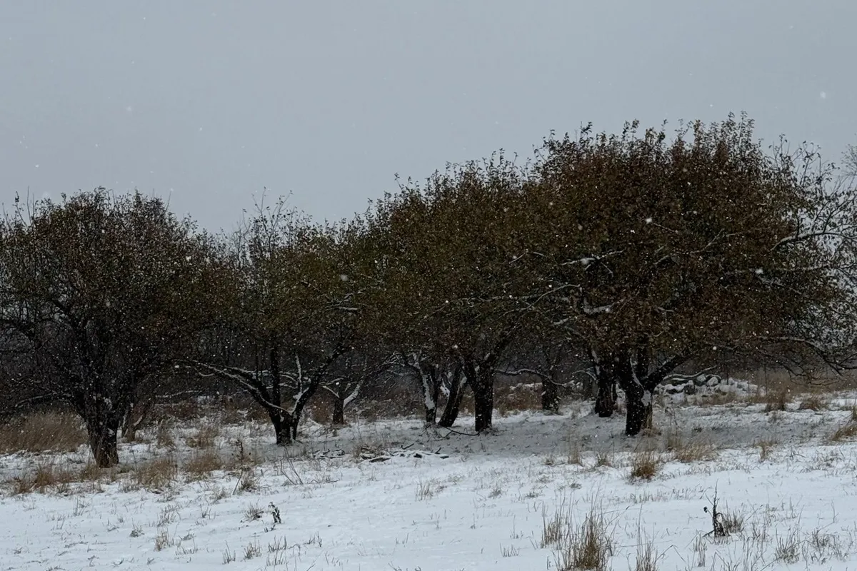 219 Comerford Road, ON K0J 2E0