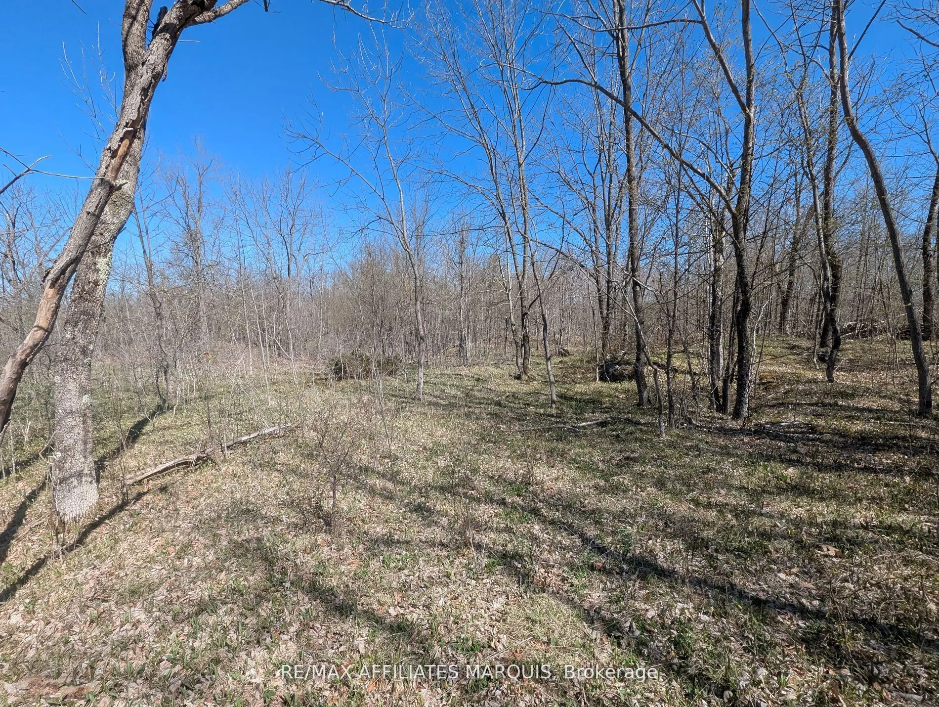 0 LITTLE CROSBY LAKE Road, ON K0G 1X0