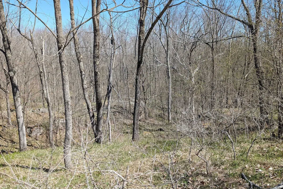 0 LITTLE CROSBY LAKE Road, ON K0G 1X0