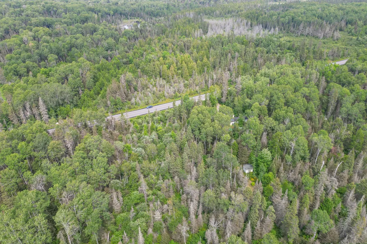 2176 Highway 539 N/A, ON P0H 2C0