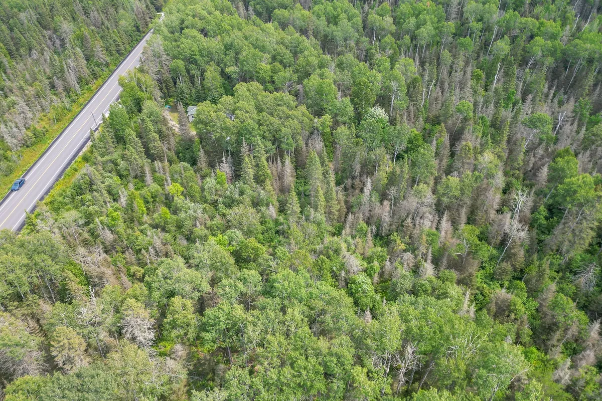 2176 Highway 539 N/A, ON P0H 2C0