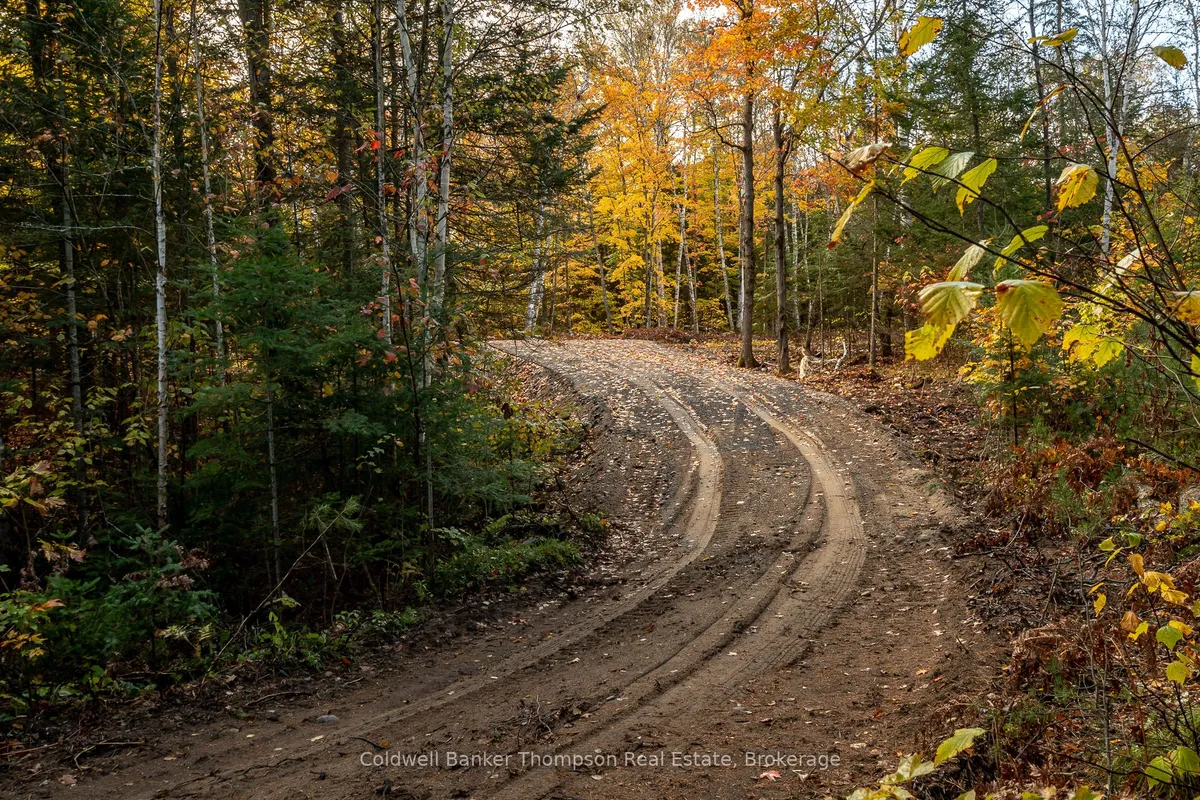 Lot 1 Emsdale Lake Road, ON P0A 1J0