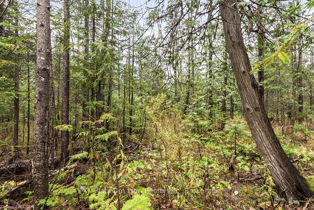 PT LT11 CONCESSION 11 N/A, ON N0C 1H0