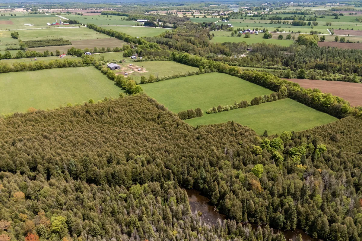525197 Artemesia Euphrasia Townline, ON N0C 1H0