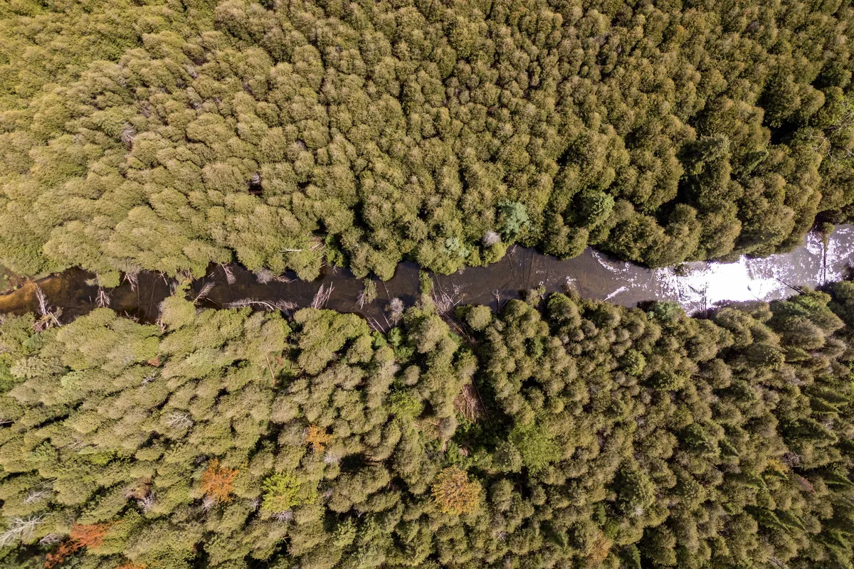 525197 Artemesia Euphrasia Townline, ON N0C 1H0