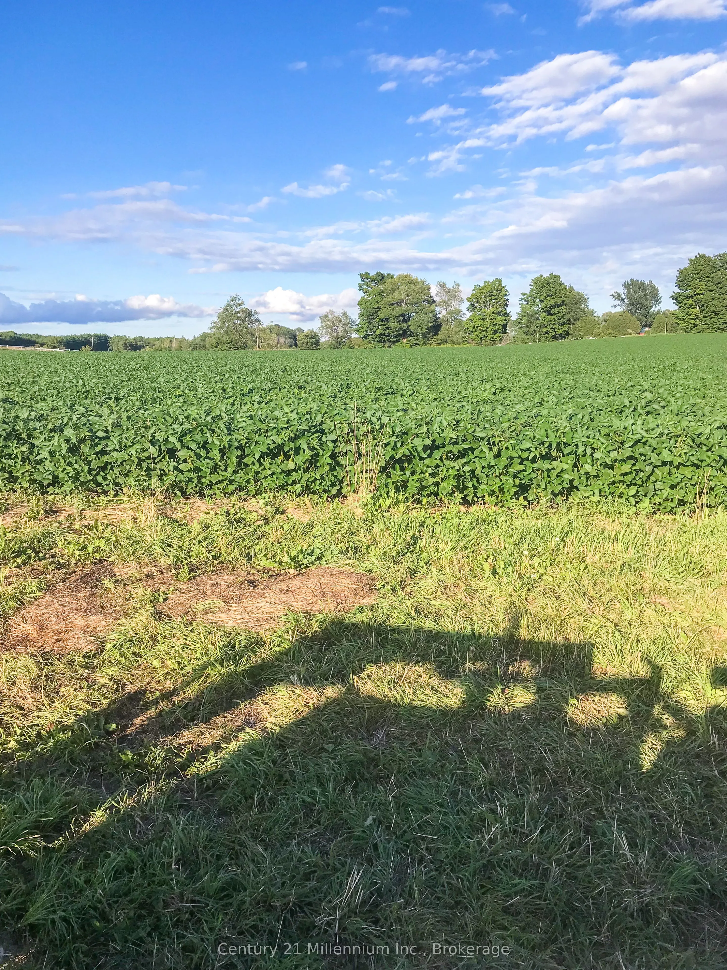 425158 Irish Lake Road, ON N0C 1H0