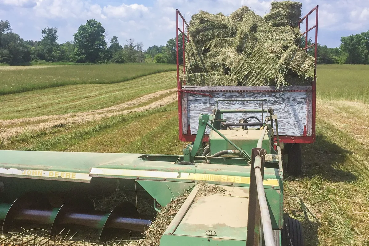 425158 Irish Lake Road, ON N0C 1H0