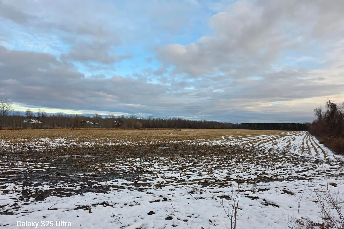 906 French Settlement Road, ON K0G 1J0